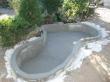 bassin pour poisson