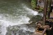 description: La Bresle qui entraine la roue à aubes, fait aussi la joie des pêcheurs. La truite est la reine de cette eau limpide.     