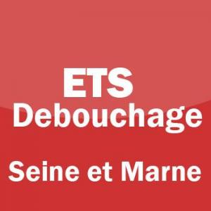 Logo de Daniel Sifon ETS Debouchage