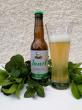 Janel Menthe 
Boisson au Kombucha à base de Thé Vert et de Menthe 